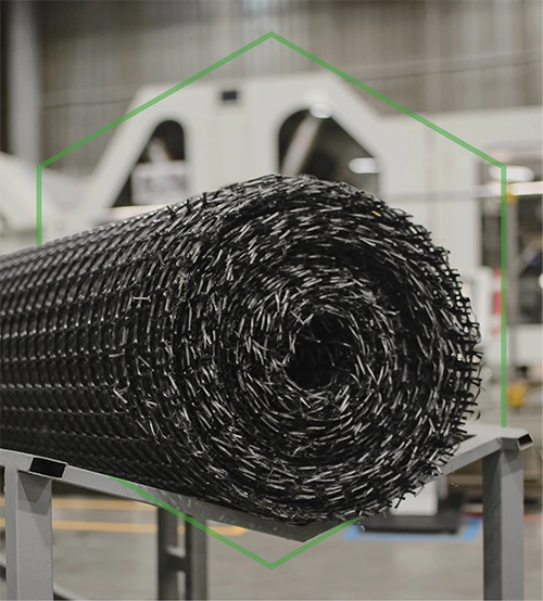 Geogrid